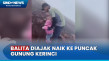 Balita Diajak Orang...