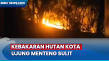 Hutan Kota Ujung Menteng...