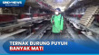 Dampak Cuaca Ekstrem,...