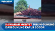 Musim Kemarau, Kawanan...