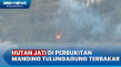 Kawasan Hutan Jati di...