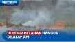 10 Hektare Lahan Hangus...