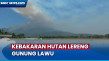 Kebakaran Hutan Lereng...
