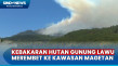 Gawat! Kebakaran Hutan...