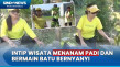 Sensasi Berwisata Menanam...
