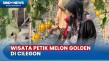 Petani Cilegon Kompak...