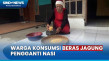 Mengenal Beras Jagung,...