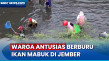 Hujan Pertama Turun,...