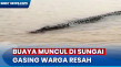 Warga Resah Akibat Kemunculan...