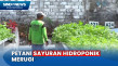 Cuaca Panas Rugikan...