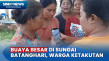 Buaya Besar di Sungai...