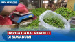 Harga Cabai Meroket,...