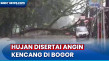 Sejumlah Pohon Tumbang...