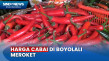 Harga Cabai Rawit Merah...