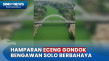Hamparan Eceng Gondok...