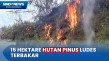 Dekati Permukiman Warga,...