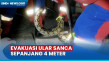 Masuk Rumah Warga, Ular...