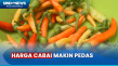 Harga Cabai Meroket,...