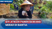 Siti Atikoh Ganjar Panen...