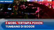 3 Mobil Tertimpa Pohon...