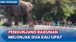 Lewati Libur Nataru,...
