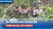 Ibu Akan Melahirkan...