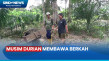 Berkah Musim Durian,...