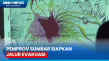 Status Gunung Marapi...