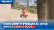 Viral! Detik-Detik Monyet...
