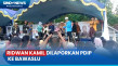 Dugaan Kampanye Terselubung,...