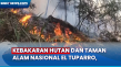 4,5 Hektar Hutan Lindung...