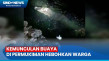 Kemunculan Buaya 3 Meter...