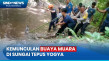 Penampakan Buaya Muara...