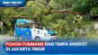 Hujan Angin, Pohon Tumbang...