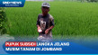 Petani Kesulitan Cari...