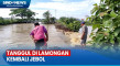 Puluhan Hektare Tambak...