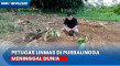 Diduga Kelelahan, Petugas...