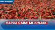 Harga Cabai di Tigaraksa...