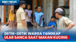Bikin Geger! Ular Sanca...
