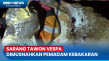 Sengat Warga hingga...