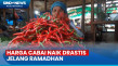 Naik Drastis! Harga...