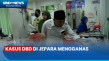 Kasus DBD di Jepara...