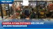 Harga Ayam Potong Tembus...