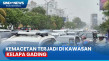 Penampakan Kelapa Gading...