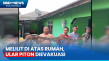 Melilit di atas Rumah,...