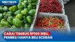 Harga Cabai Tembus Rp100...