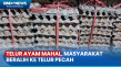 Mahalnya Harga Telur...
