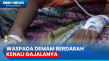 Waspada, 9 Orang Meninggal...