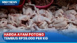 Harga Ayam Potong Meroket...