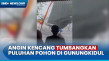 Angin Kencang Terbangkan...